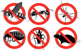 Common Pests in Australia